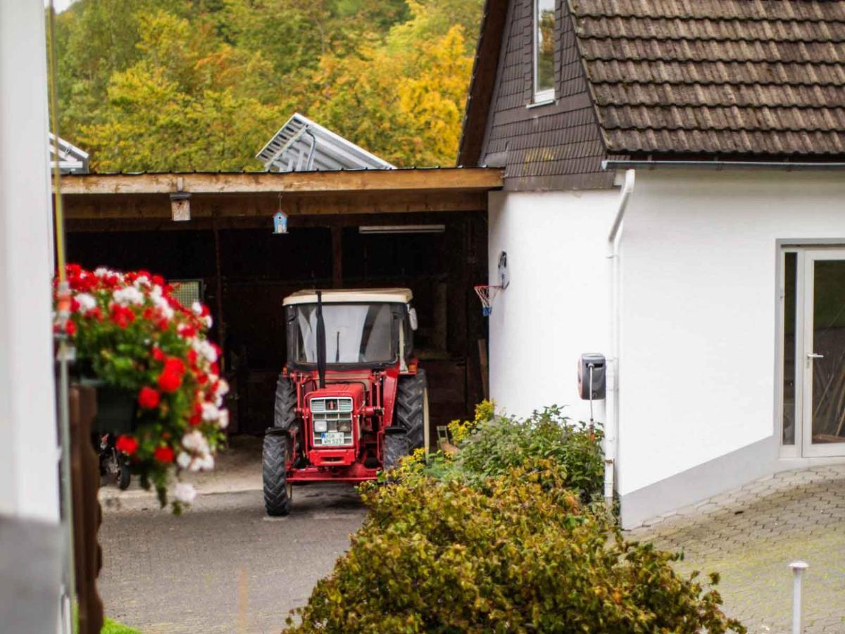 Ferienwohnung Hallmann Schmallenberg Exterior photo